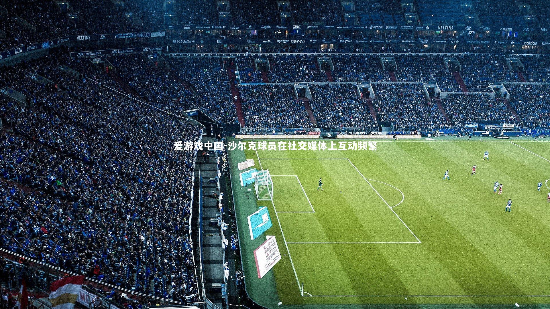 沙尔克球员在社交媒体上互动频繁